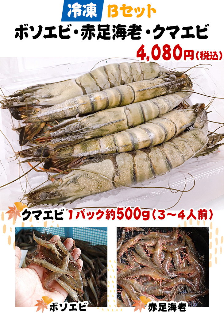 冷凍Bセット ボソエビ・赤足海老・クマエビ 4,080円(税込)