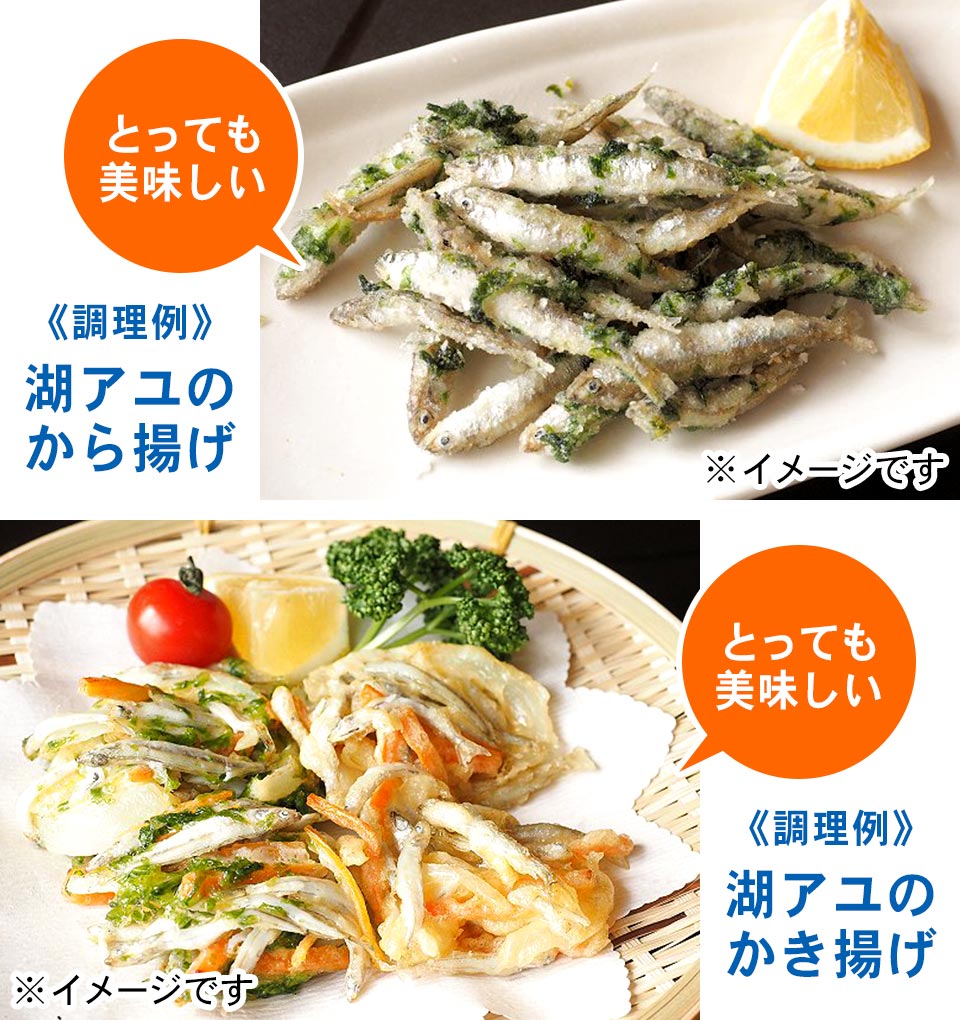 とっても美味しい 調理例 湖アユのから揚げ とっても美味しい 湖アユのかき揚げ