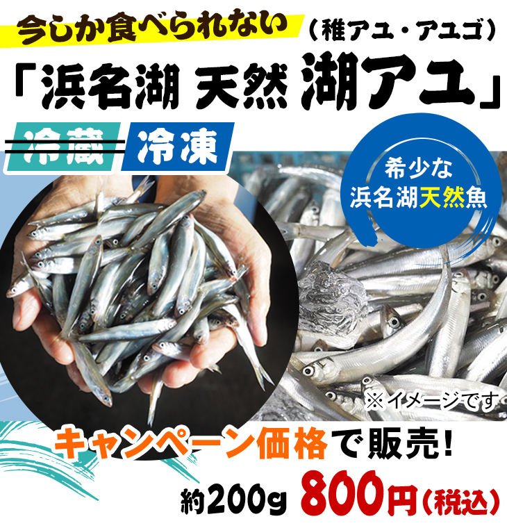 今しか食べられない冷凍「浜名湖 天然湖アユ(稚アユ・アユゴ)」希少な浜名湖天然魚 キャンペーン価格で販売! 冷凍(プロトン凍結)約200g 800円(税込)