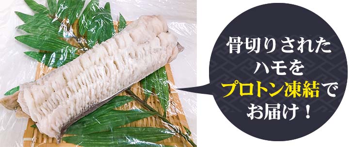 骨切りされたハモをプロトン凍結にしてお届け!