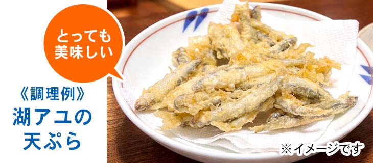 とっても美味しい 調理例 湖アユの天ぷら