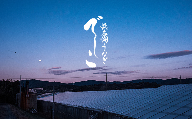 浜名湖うなぎ  でしこ