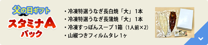 父の日ギフトスタミナAパック