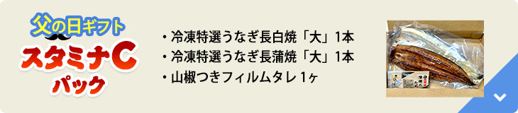 父の日ギフトスタミナCパック