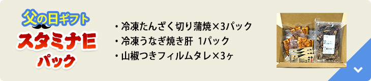 父の日ギフトスタミナEパック