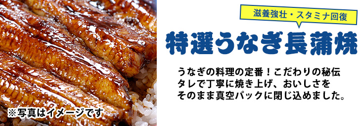 父の日ギフト 特選うなぎ長蒲焼