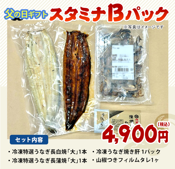 父の日ギフトスタミナBパック