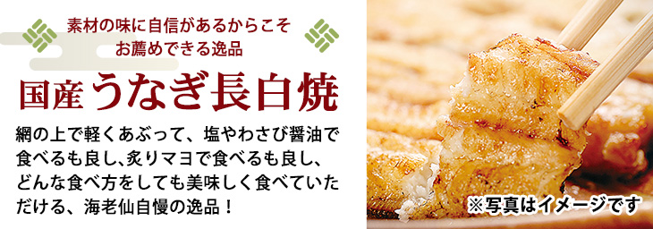敬老の日ギフト 特選うなぎ長白焼