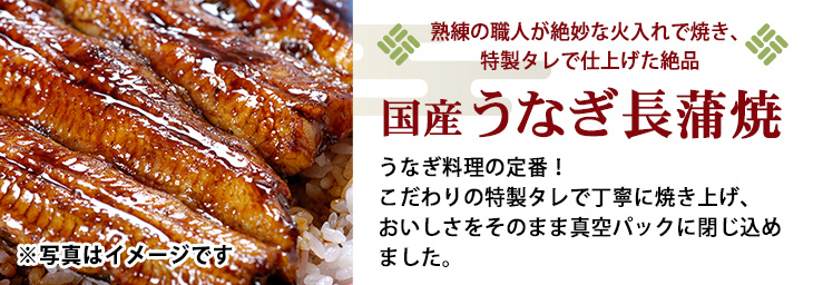 敬老の日ギフト 国産うなぎ長蒲焼