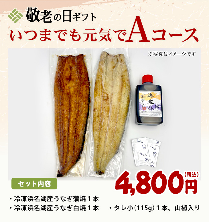 敬老の日ギフトいつまでも元気で Aコース