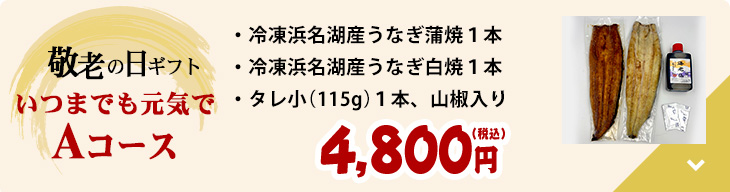 敬老の日ギフト いつまでも元気でAパック