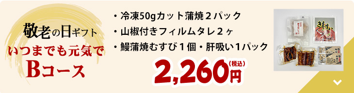 敬老の日ギフト いつまでも元気でBパック