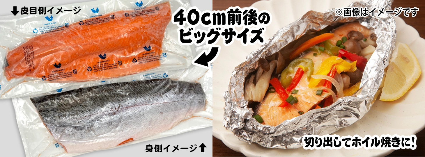 【BBQ】冷凍 サーモンフィレ