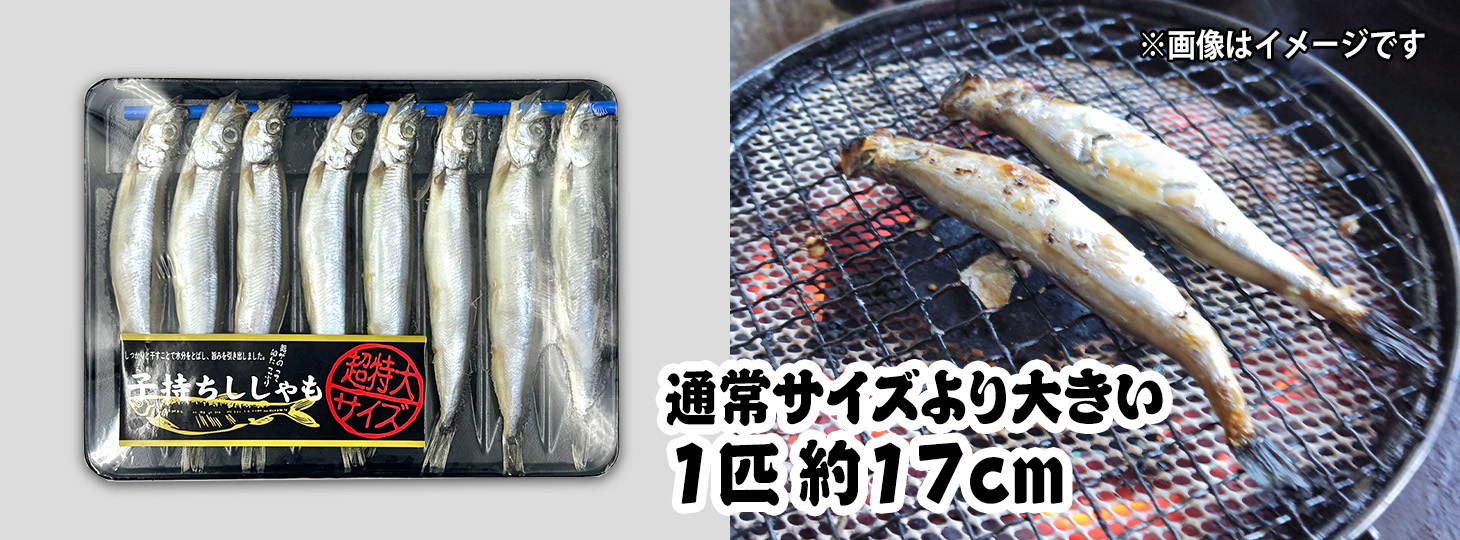 【BBQ】冷凍 子持ちししゃも