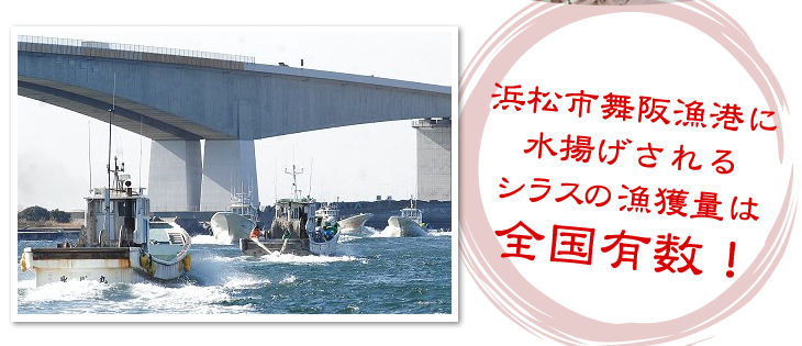 おいしいブランド 遠州灘産しらす干し 市場 浜名湖産しらす 青のりネットの販売 浜松 静岡で