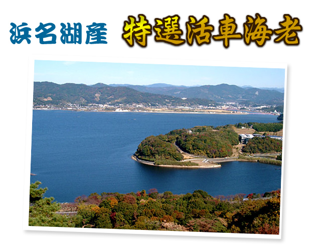 天然に勝る天然なし。国産活車海老