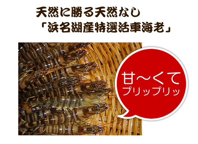 天然に勝る天然なし。国産活車海老