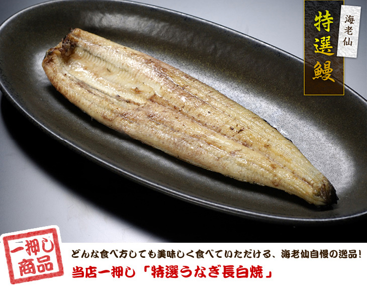 海老仙 特選うなぎ長白焼