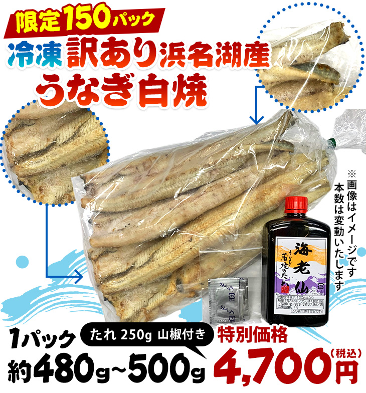 冷凍浜名湖産うなぎ白焼1Pセット