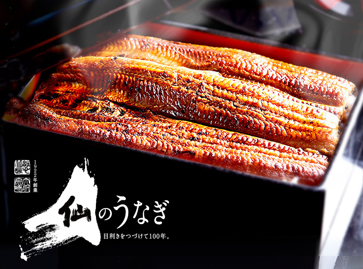 浜名湖仙のうなぎ