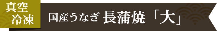 国産うなぎ長蒲焼「大」【ギフトにもオススメ】