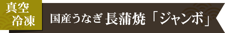 冷凍ジャンボうなぎ蒲焼【ギフトにもオススメ】